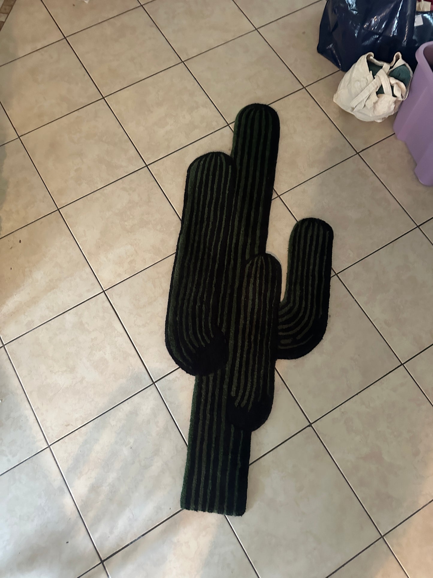 Saguaro Cactus