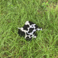 Cow Splat